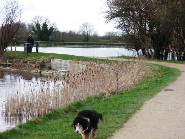 Marsworth and Startops reservoirs on the Tring summit
